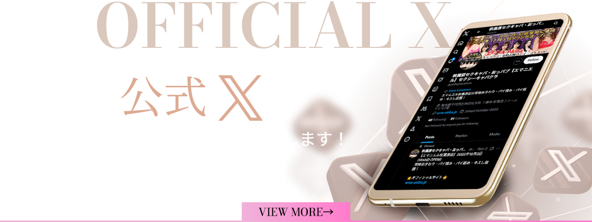 公式X