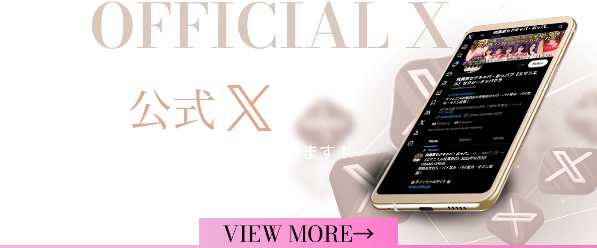 公式X